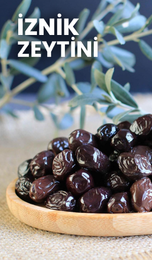 ZEYTİN